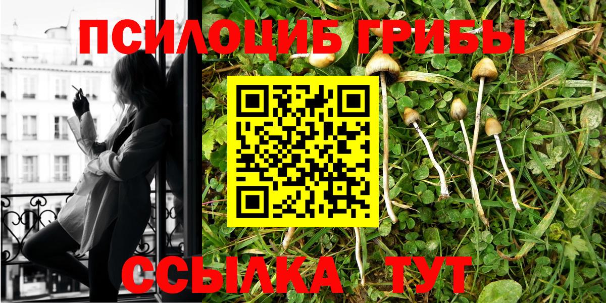 Псилоцибиновые грибы Psilocybe  продажа наркотиков  Ачинск  Вход с VPN 
